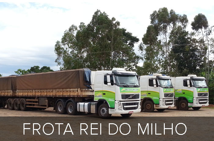 Grupo Rei do Milho Alimentos